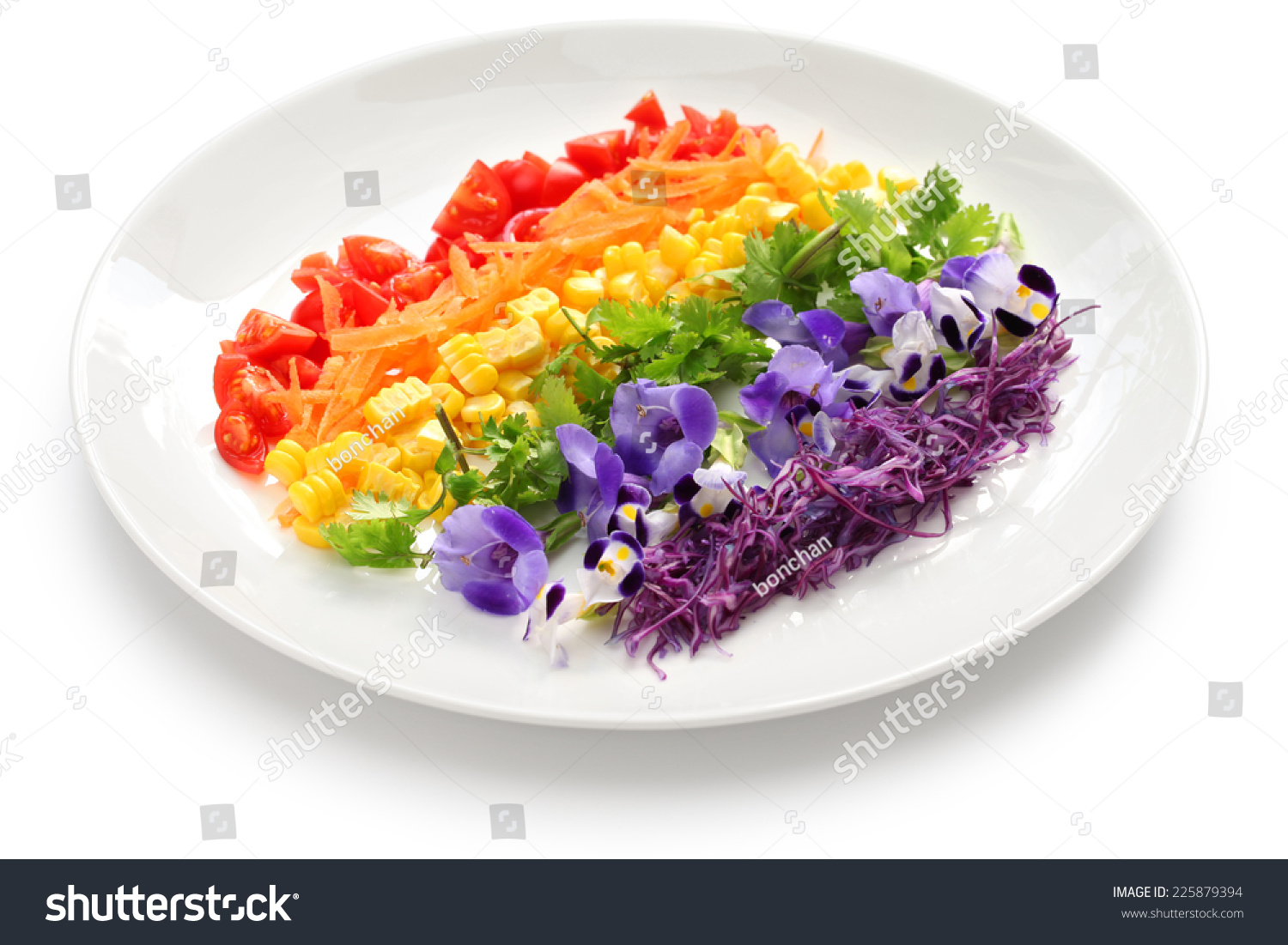 Rainbow Single Pc